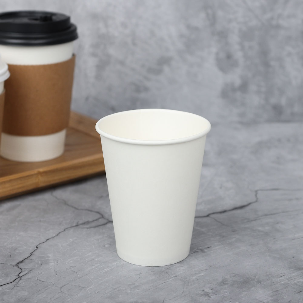 [단일] SG 종이컵 무지 8호 240ml 100개 일회용 컵 테이크아웃 카페